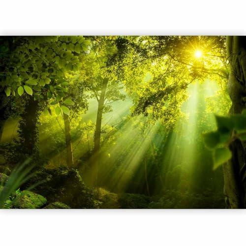 murando - Fototapete Vlies Wald, 400x280 cm, Schlafzimmer, Wohnzimmer | Full HD Druck, 3D-Effekt, lichtbeständige Farben, ideal fürs Wohn- oder Schlafzimmer, schnelle Montage, lichtbeständig, edel