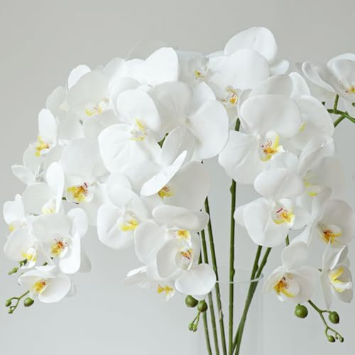 JPORSHU 6 Pcs Artificial Phalaenopsis Flowers，Artificial Orchid Bundles Leaves Stem Plants，for Home Office Wedding Table Centerpiece Decoration (white)