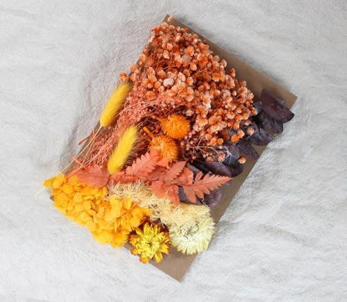 Anevous 1 Packung Natürliche Getrocknete Blumen, Trockenblumen Gemischte, DIY Getrocknet Blumen Zum Basteln, Klein Trockenblumen Set für DIY Harz Scrapbooking Handwerk Karten Machen,Orange