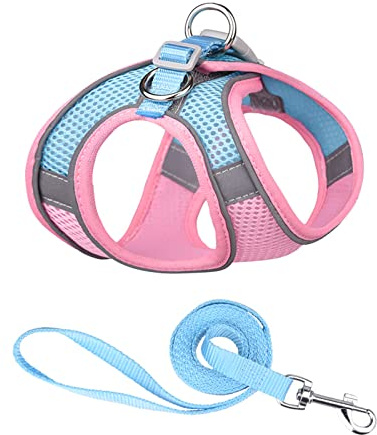 PETCUTE No-Pull Hundegeschirr,Verstellbare Hundegeschirr für Kleine, mittelgroße und große Hunde,Reflektierend Softgeschirr mit D-Ring,Atmungsaktiv Mesh Sicherheitsgeschirr für Kleine Mittlere Hunde