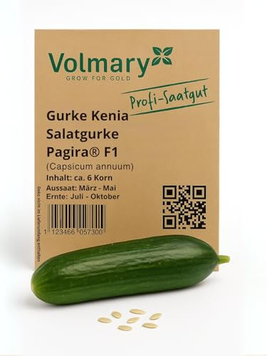 Gurke Kenia Salatgurke Samen Pagira®, F1, Saatgut, Ertragreiche Freiland-Kastengurke, sehr aromatisch