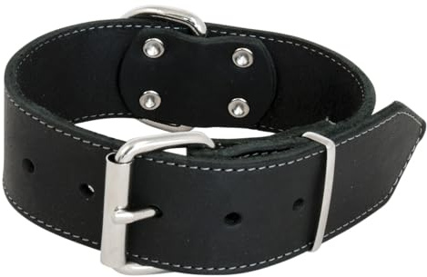 JACK AND VANILLA – Großes Hundehalsband aus geöltem Leder – für mittelgroße bis große Hunde – Solide, langlebig, weich im Griff – Moderner Look – Farbe Schwarz, Größe 50 mm x 70 cm