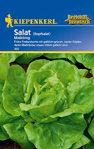 Kiepenkerl Kopfsalat Maikönig
