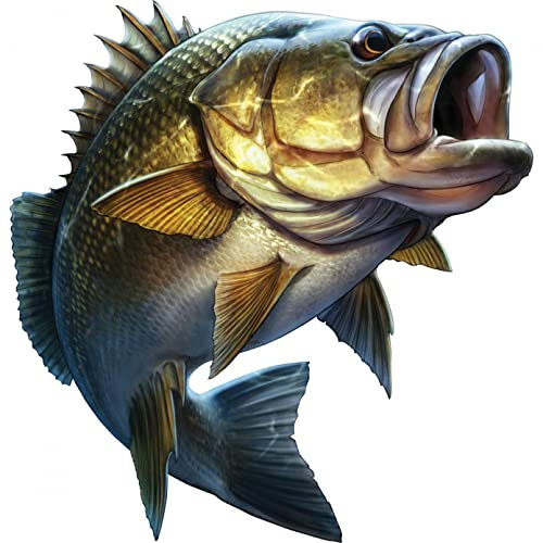MACMRD Auto Aufkleber 20 cm * 20 cm Persönlichkeit Angeln Auto Aufkleber Großen Mund Bass Fisch Boot Kajak Laptop Fenster Wasserdicht Vinyl Aufkleber