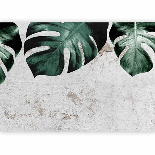 murando PREMIUM Fotomurales tropical Hojas 300x210 cm Papel pintado