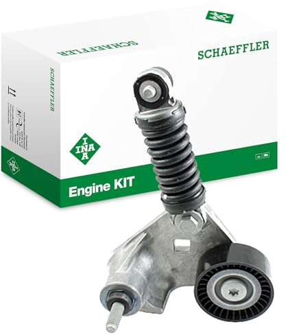 INA 534 0169 10 Brazo tensor correa poli V