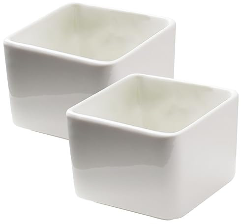 Holibanna 2pezzi Tazze Per Salse in Ceramica Ciotole Per Salse e Condimenti Piccolo Piatto Per Antipasti Elementi Essenziali Per Cucina Adatte Per Barbecue Al Chiuso Aperto Facil Pulire