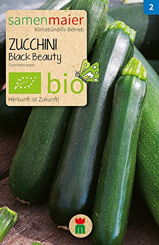 BIO Zucchini Black Beauty Samen - Dunkelgrüne, schlanke Früchte, essbare Blüten - samenfestes Saatgut aus kontrolliert biologischer Landwirtschaft - Inhalt reicht für ca. 5 Pflanzen - Samen Maier
