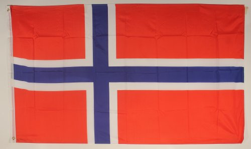 Buddel-Bini Flagge Fahne ca. 90x150 cm : Norwegen Norwegenflagge Nationalflagge Nationalfahne