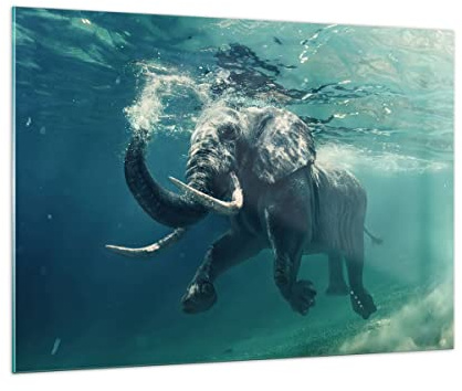ARTTOR Glasbild 100x70cm Wandbild Glasdruck Natur Tiere - 3944 | Elefant Tier Wasser Groß Modern Dekoration Wohnzimmer Schlafzimmer Küche Wanddeko Kunstdruck Art Wall Decor ARTTOR