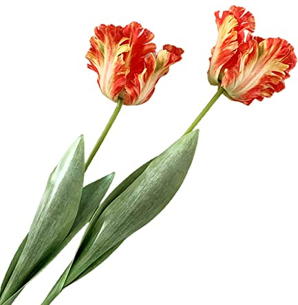 Tulipano artificiali,fiori finti da 68 cm,fiori artificiali,pappagallo, tulipani a stelo lungo,piante finte,riempitivi per vasi di verdura, per la decorazione di casa e ufficio (2 pezzi, arancione)