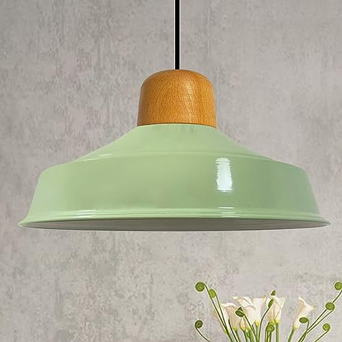 bamyum Asletl Pendelleuchte Esstisch Holz Ø41 cm, Hängelampe Esstisch Holz, Hängelampe Industrial Vintage, Küchenlampe Hängend Vintage Wohnzimmerlampe Pendelleuchte Minzgrün Metall Küchenlampe Hängend