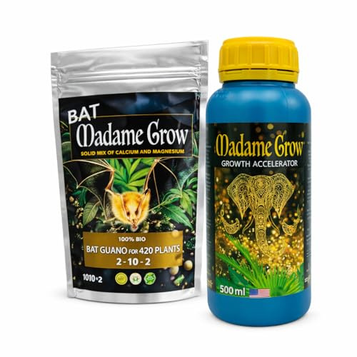 MADAME GROW Boost Kit Growth Accelerator 500 ml + Bat Guano 500 g, Enraizante de Plantas y Abono Floración, Fertilizante de Plantas, Crecimiento y Estimulador, Enriquece Sustrato