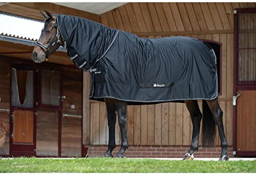 BUCAS Shamrock Power FN Abschwitzdecke/ Übergangsdecke schwarz oder blau (schwarz, 145)