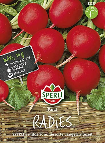 Sperli Radieschensamen Parat 82135, MaxiPack 10 g | Große karminrote Knollen, dünne Schale, festes Fleisch, pelzfest, für Rohkost, Salate und zum Garnieren