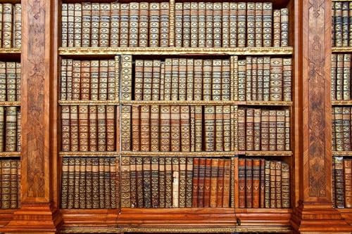 Fotomural BIBLIOTECA 375 x 250 cm | Papel Pintado Fotográfico - tejido no tejido | CALIDAD PREMIUM - HECHO EN LA UE - Incluye pegamento para papel tapiz