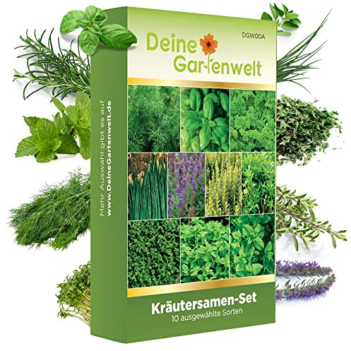 Kräutersamen Set - 10 Sorten Samen - Saatgut Sortiment - Anzuchtset für Küchenkräuter - Geschenkset - Dill, Basilikum, Petersilie, Kressse und mehr