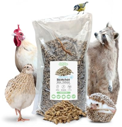 EntoZoo - Heimchen, Grillen, Acheta Domesticus, gefroren, Made in Germany, Vogelfutter, Reptilienfutter, Igelfutter (1 Kg, Klein)