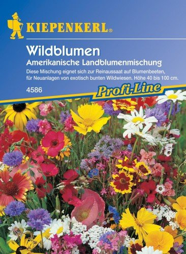 Kiepenkerl 4586 | Wildflowers American country flower mix | seeds | wild species from the nature of North America and California