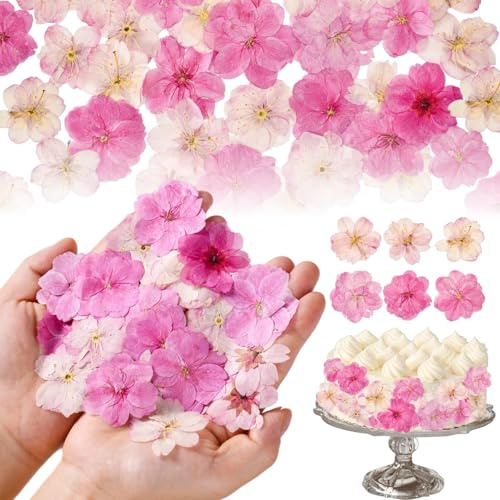 Celblisora 96 pièces Fleurs séchées et pressées Naturelles Rose comestibles pour décoration de gâteaux, Toppers pour Cupcakes, création de Bijoux en résine, Artisanat DIY