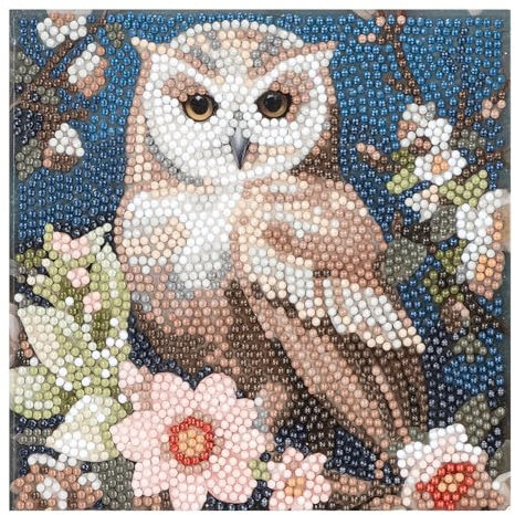 Ideen mit Herz Diamond-Painting-Karte | 16 cm x 16 cm | 370 g/m² | Inkl. Werkzeug (Eule mit Blumen)