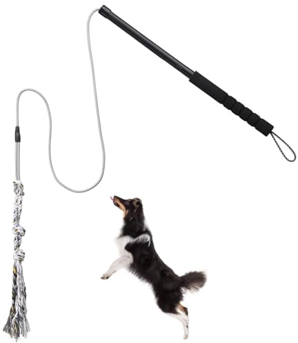 Juguete Interactivo para Perros, Juguete Flirt Stick para Perros pequeños y medianos, Juguetes de Exterior Resistentes para entretener, Entrenar y Hacer Ejercicio