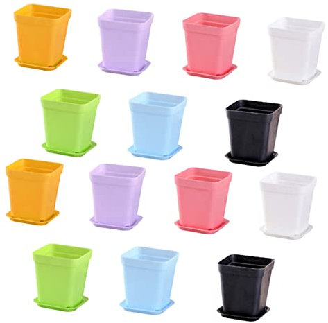 BESPORTBLE 20juegos Maceta para Suculentas De Plástico Colorida Maceta Sencilla para Jardinería para Decoración De Interiores Color Aleatorio