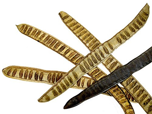 Machete Steterschote 10 stycken, natur