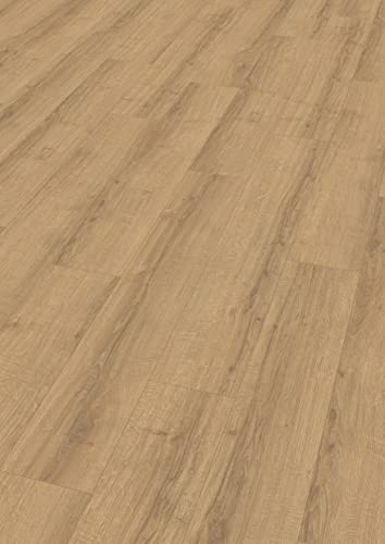 Egger Sol stratifié Aqua It EL1007 Sherman Chêne Miel (8 mm, 1,995 m²) | Aspect Bois Authentique | Pose Facile grâce au système de clic | Pratique et résistant à la Valeur, Marron
