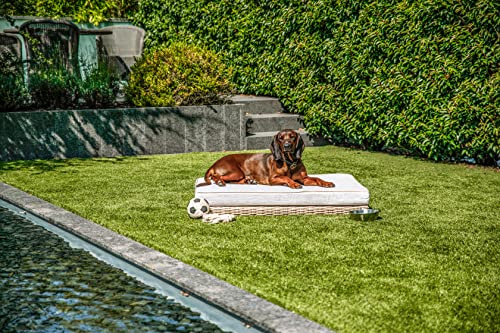 greemotion PET Hundebett aus Polyrattan inklusive Kissen, ca. 95 x 15 x 65 cm