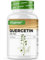 Quercetina - 500 mg - 180 capsule - Confezione per 6 mesi - Premium: estratto naturale di fiori di robinia in rapporto 15:1 con il 95% di quercetina - Altamente concentrato - Vegano