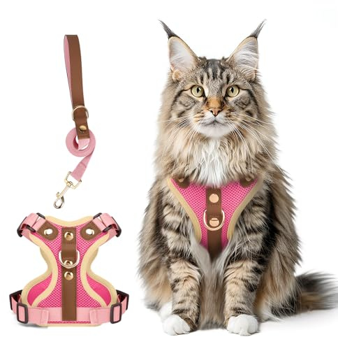 Ausbruchsicheres Katzen Geschirr & Leine Set, Verstellbares Reflektierendes Geschirr mit Atmungsaktivem Mesh und Hochwertigem Leder für Katzen & Kätzchen (Rosenrot, S)