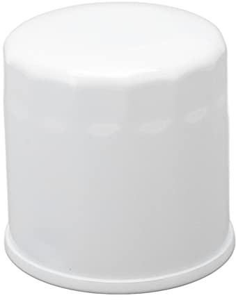 Ölfilter Motorschutz Kraftstofffilter HH150 32430 für Grasshopper Nullwendekreismäher
