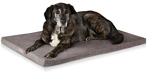 ONVAYA® Hundekissen aus Memory Foam | orthopädisch | 95 Grad waschbar | grau | Hundebett Größe S | Hundematratze | Hundematte | Liegekissen