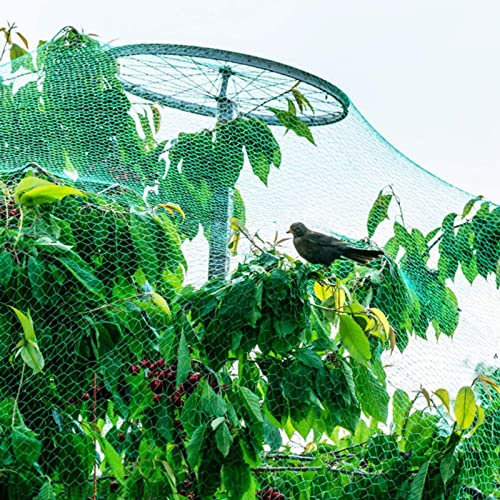 Filet Oiseaux Petite Maille Filet Anti Oiseaux pour Poulailler Arbre Fruitier Filet de Protection pour Fruits, Légumes et Plantes,10x10m