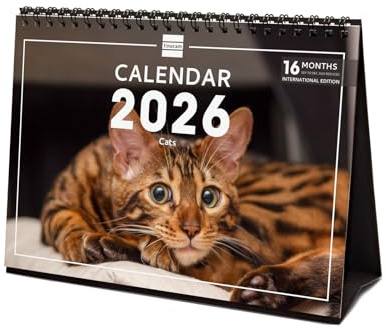Finocam – Calendrier de bureau 2026 1 Mois par page Janvier – Décembre 2026 + Sept.-Déc. 2025 (4 mois) réduits | Calendrier 2026 | Images Cats – International