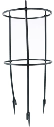 Hohopeti Étagère pour Plantes Grimpantes et Support pour Plantes D'intérieur, Treillis Plastique 3 Tiges 2 Cercles 20 Cm, Jardinière Intérieure, Protection Vent et Pluie, Structure Stable