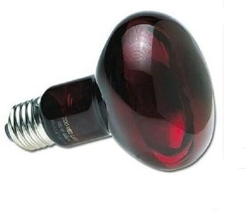 Generico Lampada RISCALDANTE INFRAROSSI per RETTILI 40 W Offerta 3 Pezzi