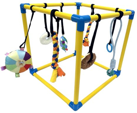 Dewonch Puppy Play Gym with 8 Hanging Toys, Small Dogs Indoor Jungle Gym, PVC Frame with Bungee Straps Enrichment Activity Center