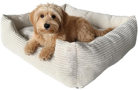 Extrasen Hundebett für mittelgroße Hunde - Weiches Hundesofa mit robuster Cord-Struktur und herausnehmbarem Kissen - Bequemer Schlafplatz für mittelgroße Hunde - Ecru