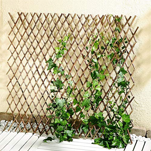 Dekoleidenschaft Rankgitter variabel aus Weide, Höhe max. 80 cm, Breite max. 120 cm, Rankhilfe, Kletterhilfe für Kletterpflanzen, Holz Pflanzengitter, Rankgerüst ausziehbar