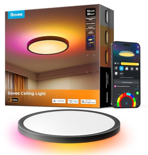 Govee RGBIC 24W taklampa, smart LED-taklampa Ø30cm kompatibel med Matter, Alexa och Google Assistant, med 16 miljoner gör-det-själv-färger, för sovrum, vardagsrum, svart