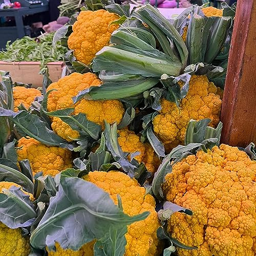 semillas de coliflor - jardín orgánicas, variedades tradicionales, cultivo al aire libre decoración 150pcs