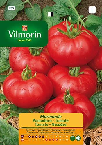 Semi di Pomodoro Marmande S-1 769, 5 Gr