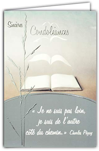 64-1050 Carte Sincères Condoléances Citation Charles Péguy Gris Argenté Brillant Livre Page qui se tourne Oiseaux Envol Paix Décès Deuil Fabriqué en France