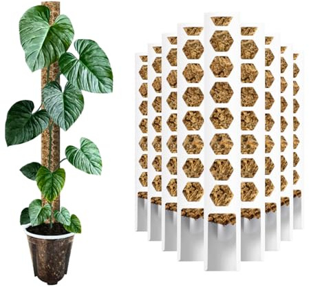 Nils der Pflanzenfreund® PlantScraper Lot de 10 bâtonnets de mousse 20 cm (XS) / Blanc | Tige de plante | Tuteur de mousse extensible | Bâtons de mousse | Plante Pole Indoor | Bâton de mousse Monstera