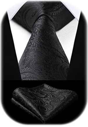 HISDERN Herren Hochzeit Krawatten und Einstecktuch Set Paisley Krawatte Jacquard Einfarbige in Verschiedenen Farben