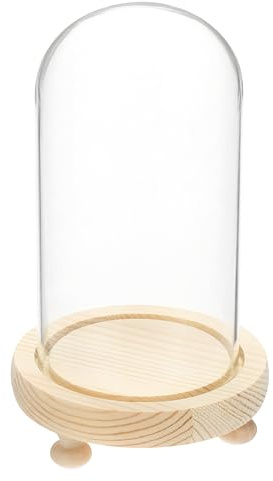 sourcing map Glasglocke, 15 x 9,9 cm, dekorative Glasglocke, mit Holzsockel, Fußpolster für DIY-Blumenhandwerk, Sammlerstücke, Exemplare, Pflanzen, staubdicht