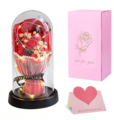 YushengTai Ewige Rose Im Glas mit LED Licht, Infinity Rose Als Zeitlose Deko und Geschenk für Frauen Zu Valentinstag, Geburtstag, Muttertag und Jubiläum (Rot)