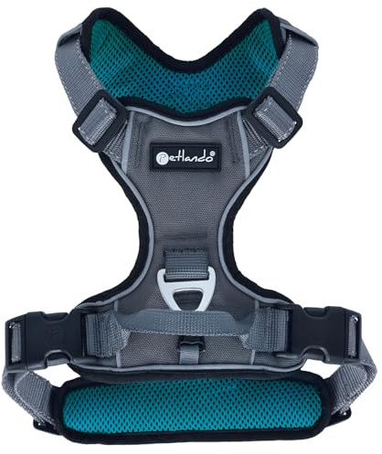 Petlando Hundegeschirr Outdoor – stark reflektierend, gepolstert, atmungsaktiv, robust, stufenlos verstellbar, Zwei D-Ringe – Petrol, XS (Halsumfang 30-44cm, Brustumfang 38-46cm)